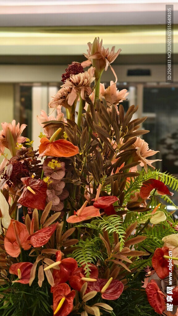 多彩斑斓的观赏植物