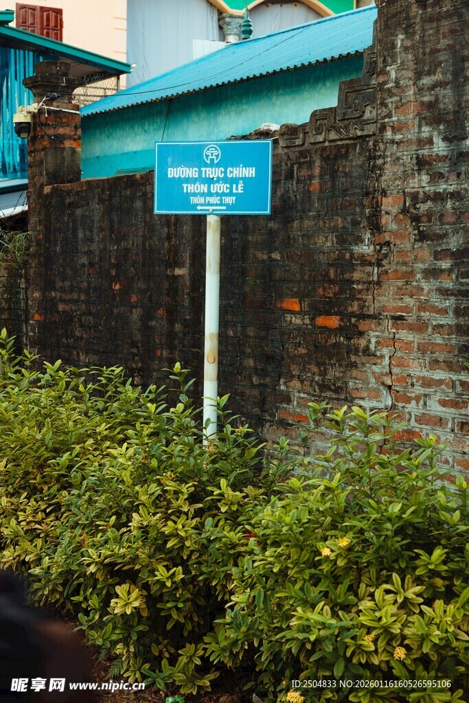 路边蓝底指示牌与绿植