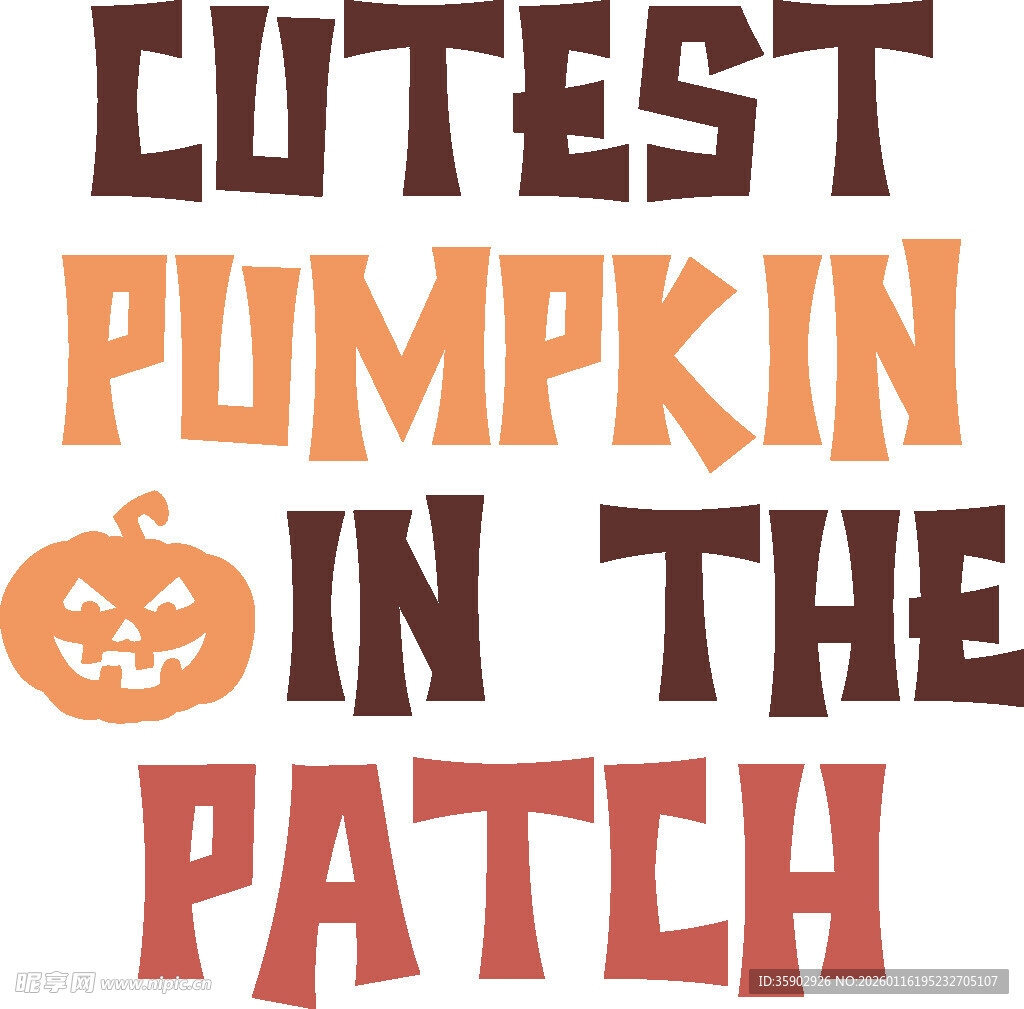 南瓜地里最可爱的南瓜