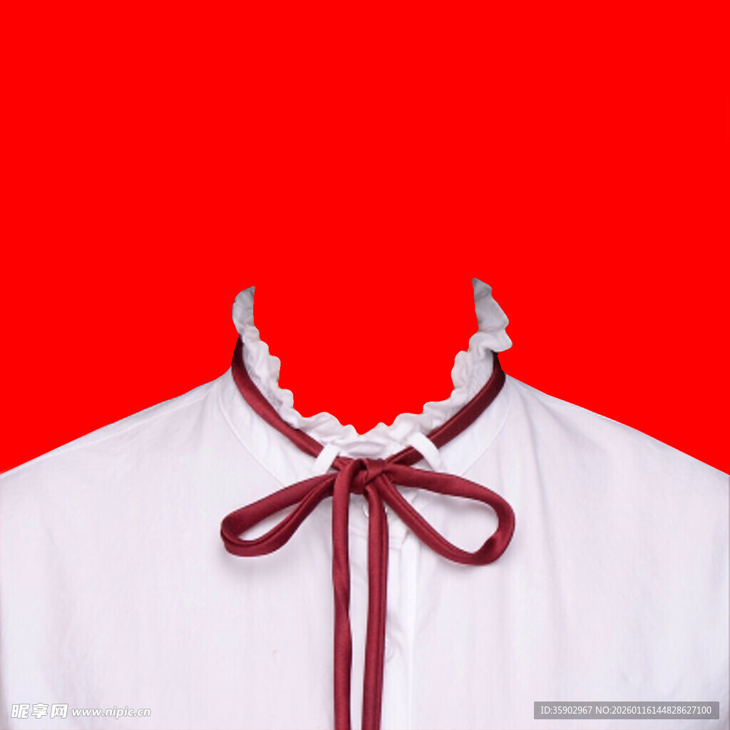 白色衬衫上的精致领结