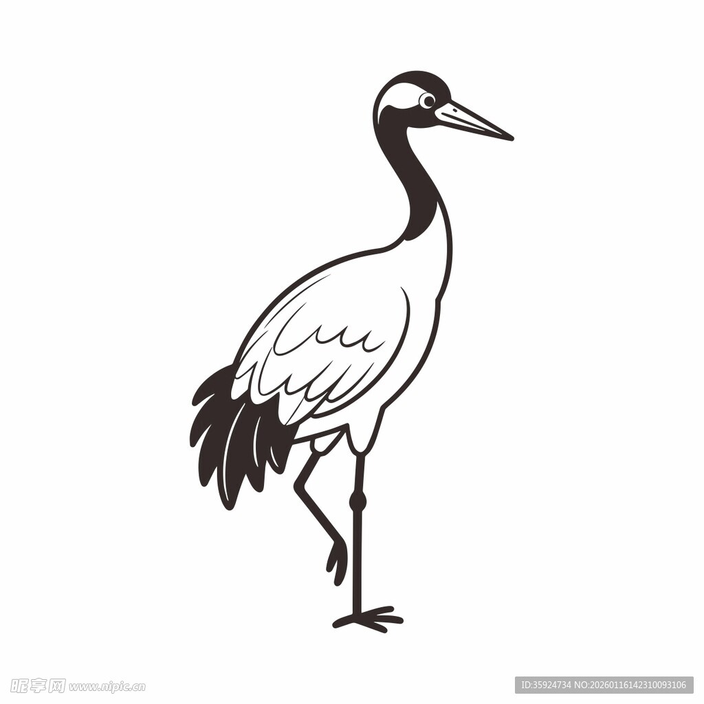 单腿站立的优雅仙鹤