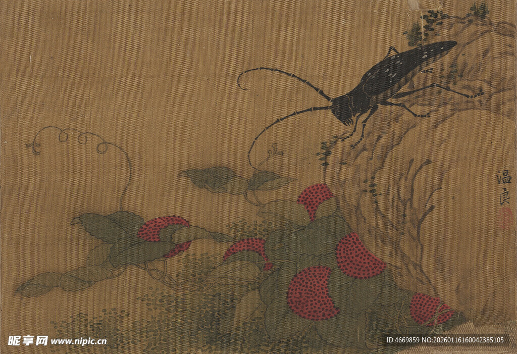 古画中的草虫与花卉