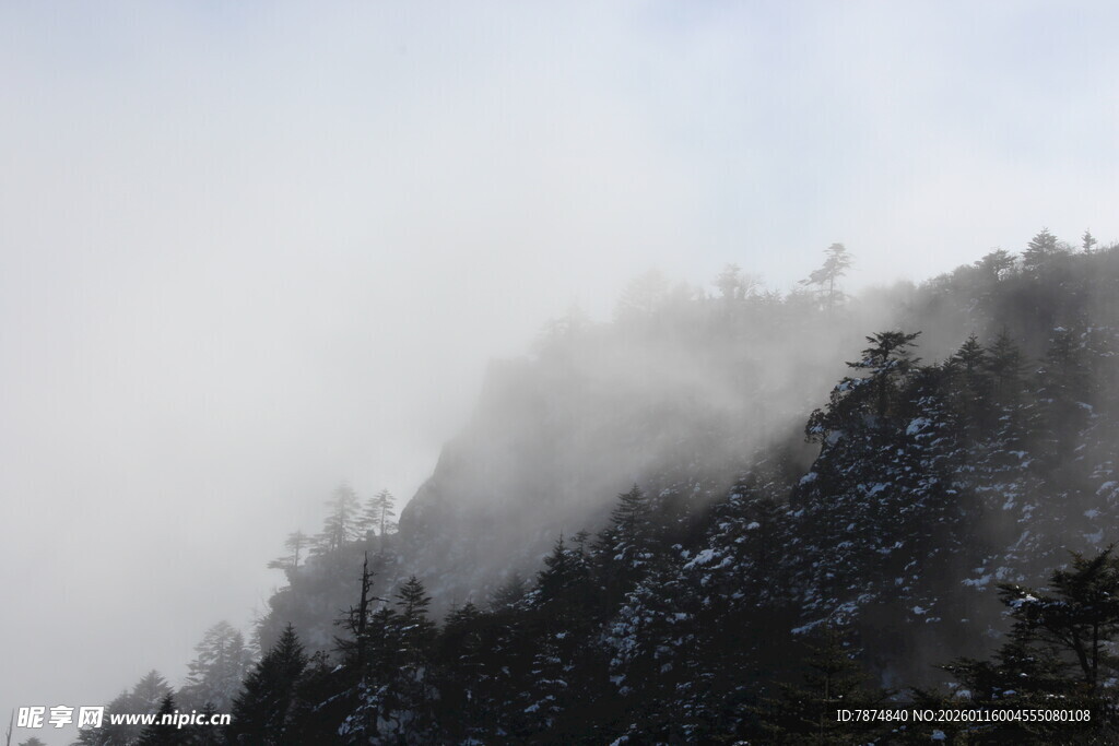 云雾缭绕的山林美景