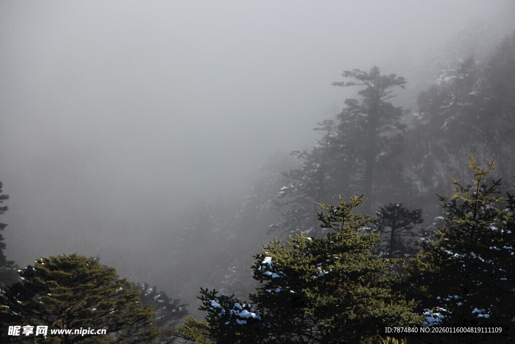 云雾缭绕中的山林景致