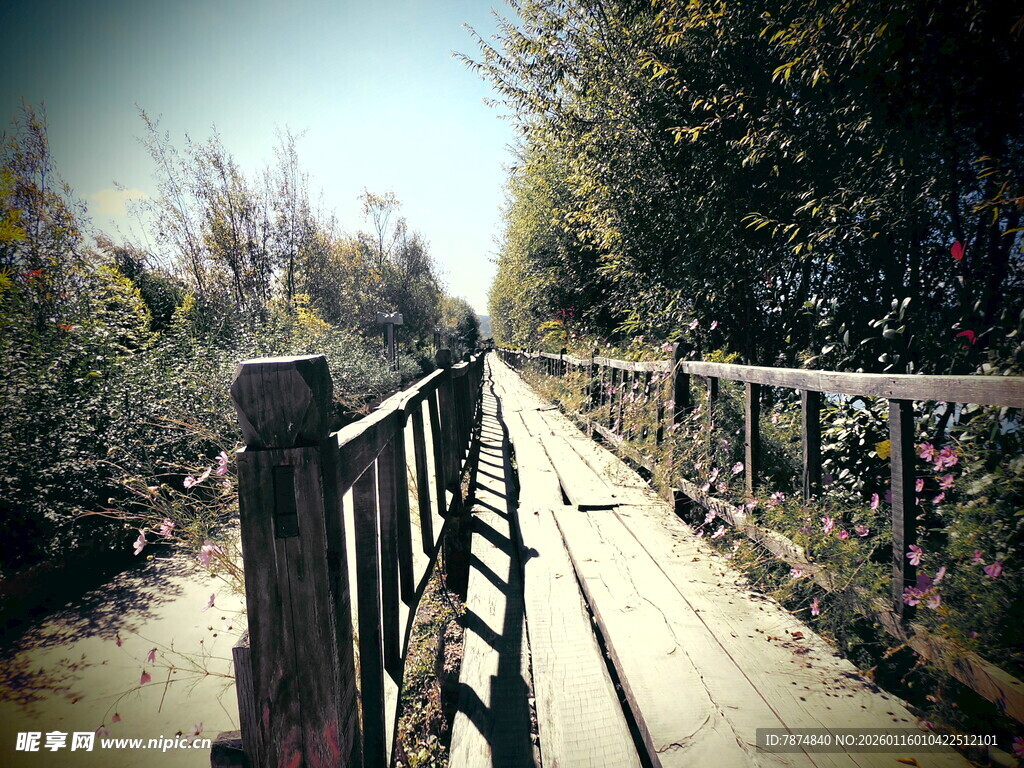 林间木栈道 静谧好风光