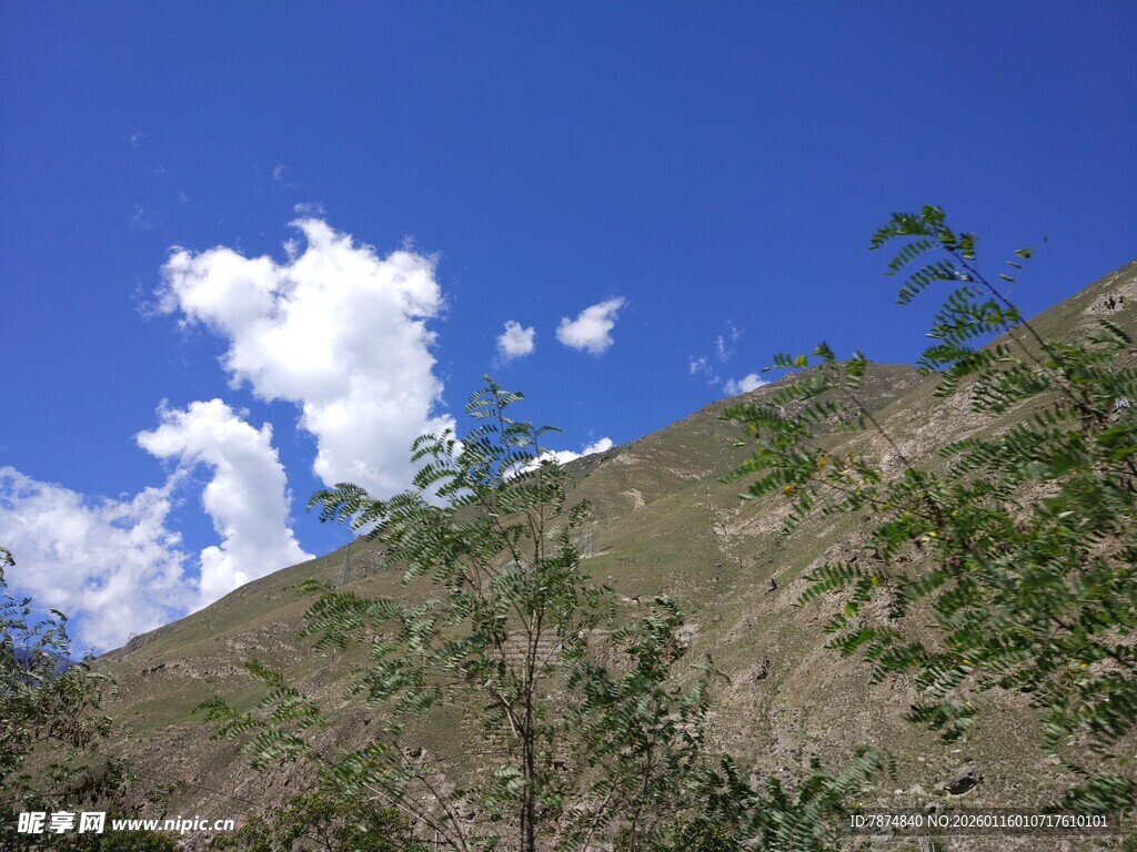 蓝天青山间的白云绿树