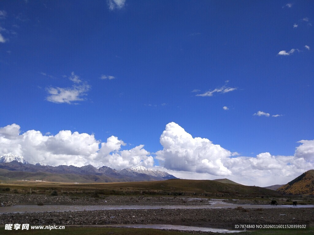 蓝天白云下的广袤原野