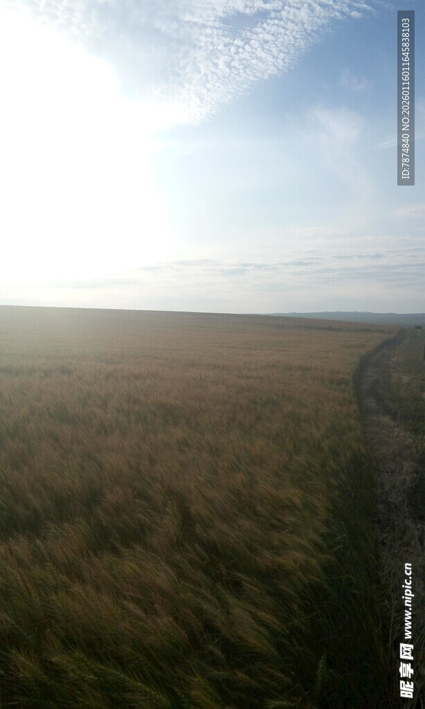 广袤原野上的开阔风景