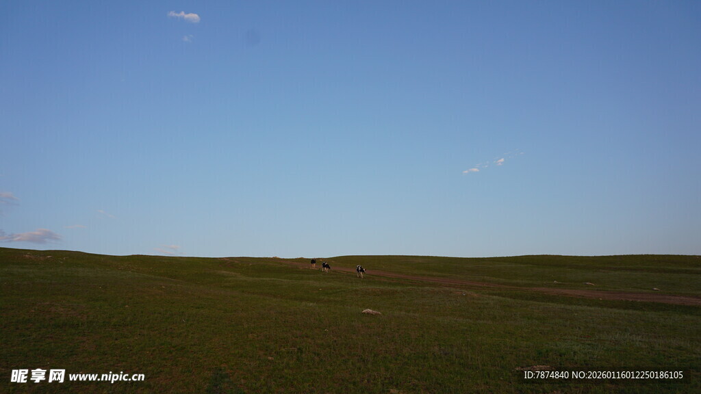 广袤草原蓝天景色