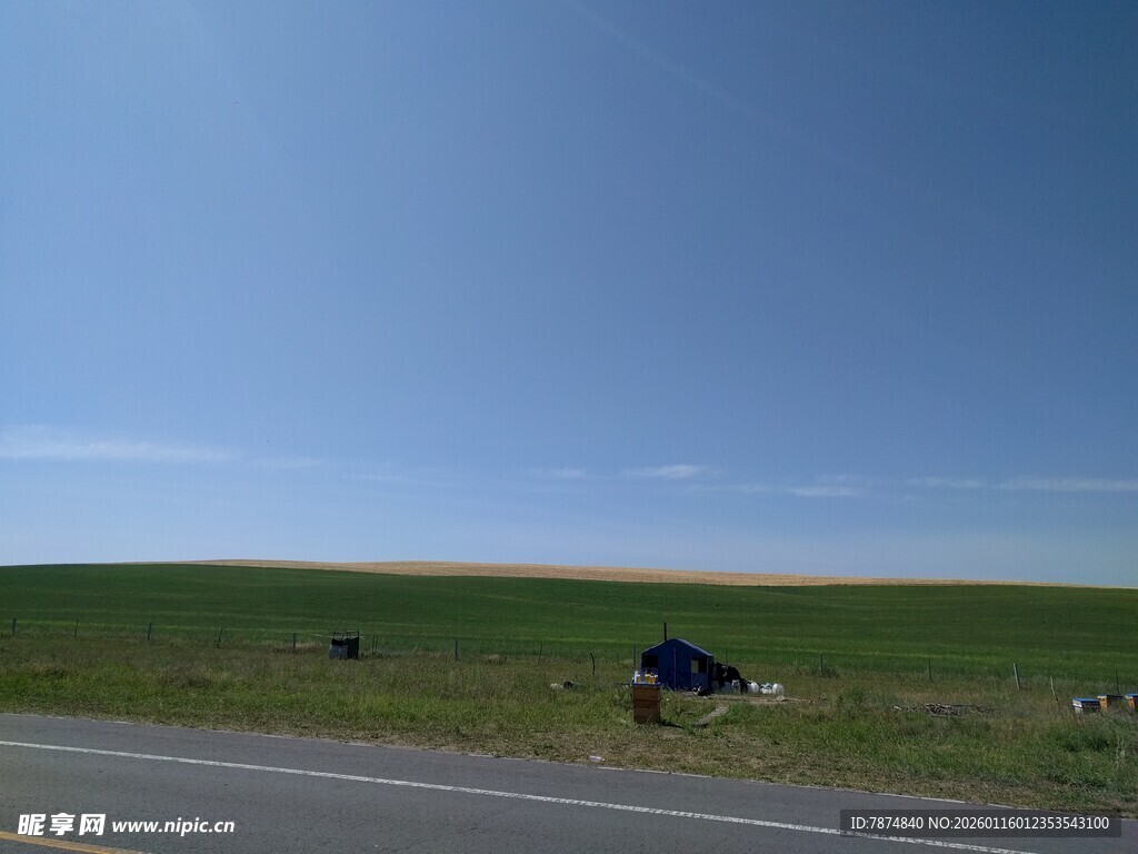 公路旁绿野上的黑色车辆