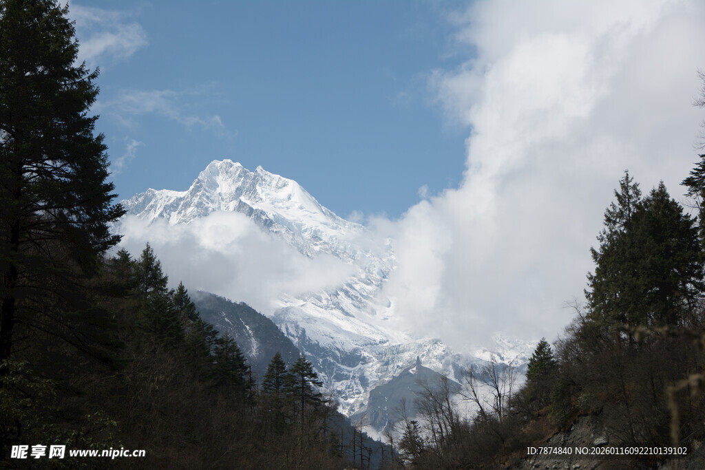 雪山森林美景