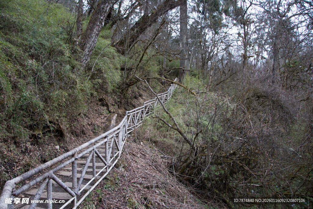 山间蜿蜒的金属步道