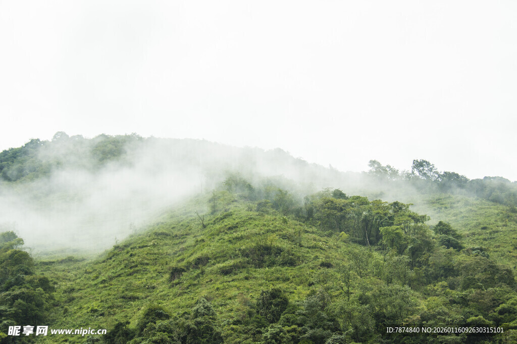云雾缭绕的翠绿山峦