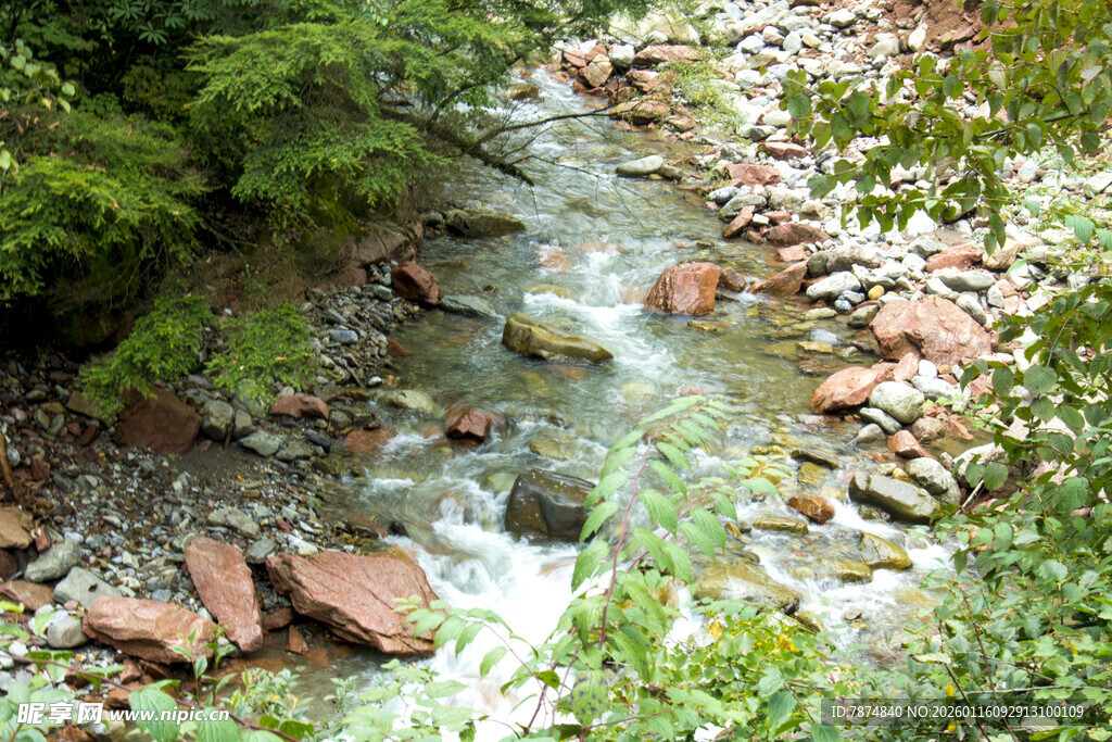 山间溪流潺潺 绿意环绕