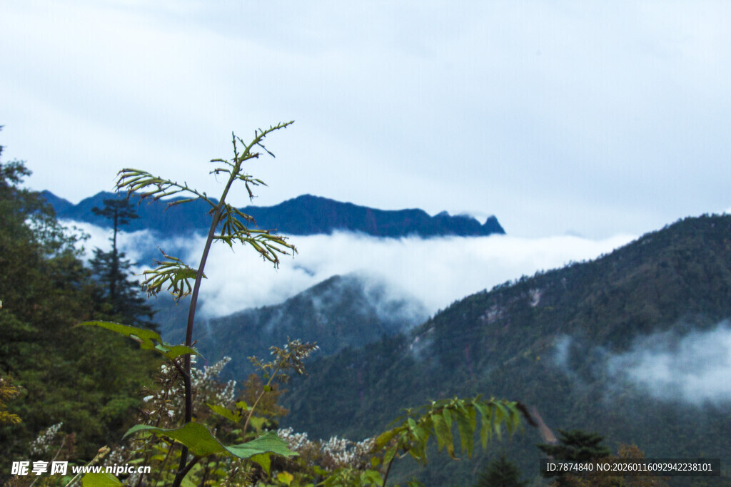 山间云雾缭绕的秀丽景致