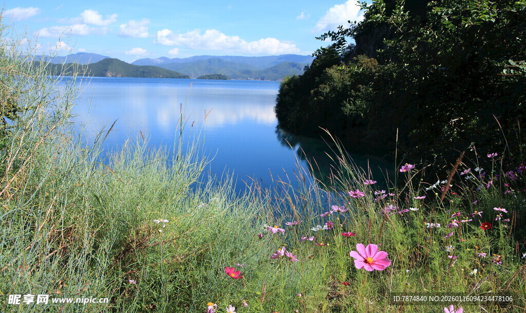 湖畔花草与宁静湖水景色