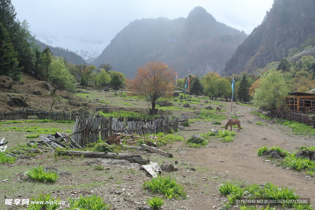 山间荒野中的古朴景象