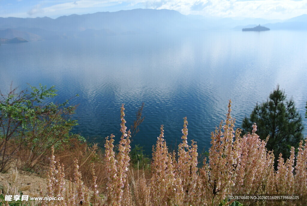 湖畔风光 草木与湖水相映
