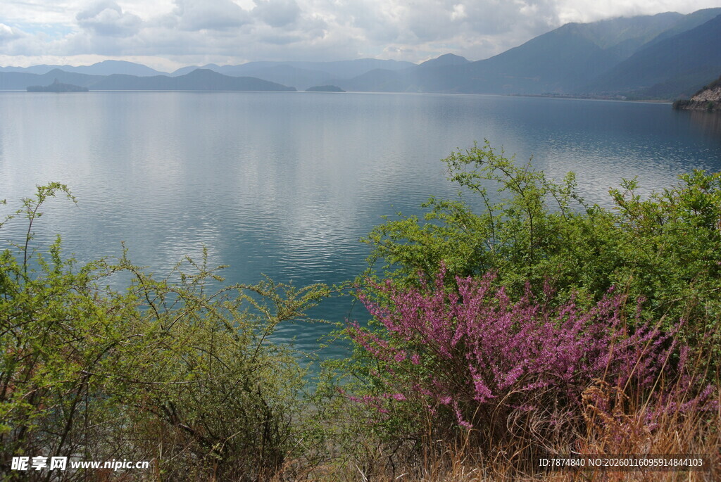 湖畔美景 绿植繁花映碧水