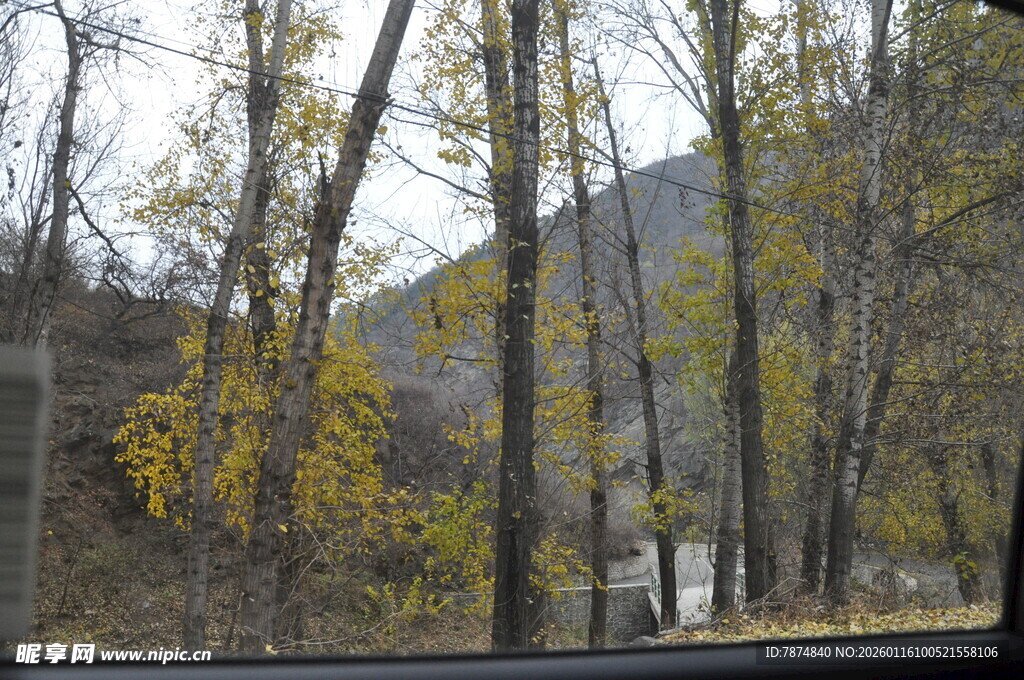 秋日山林公路美景