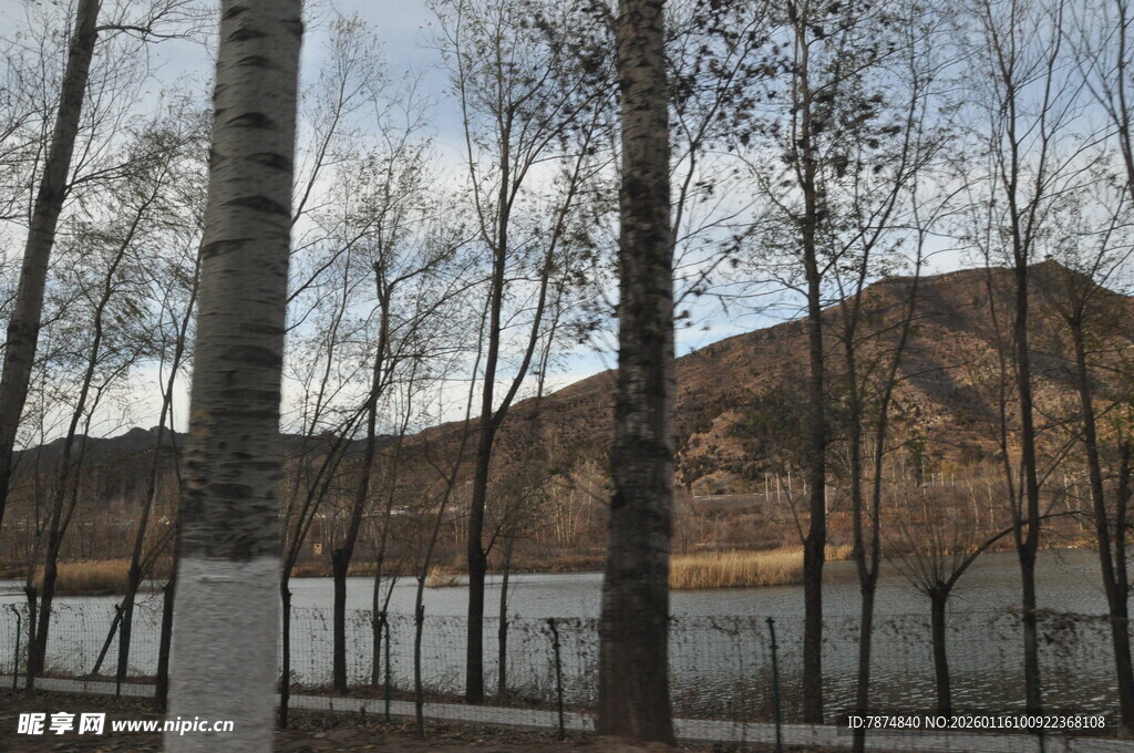 冬日山林旁的静谧水域