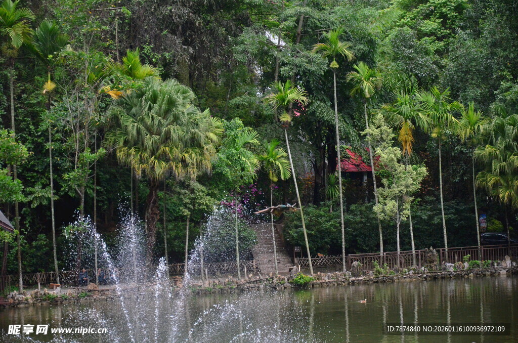 湖畔喷泉与葱郁绿植景观