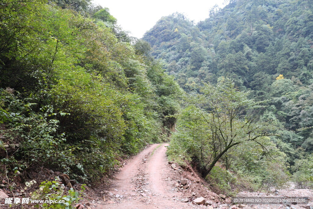 山间蜿蜒土路 绿意盎然