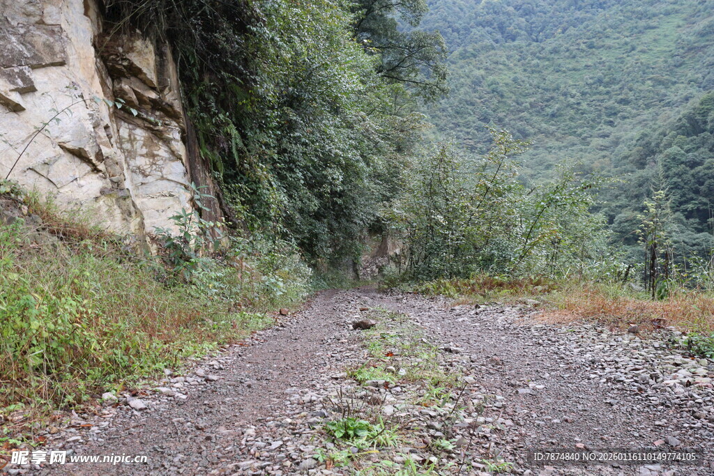 山间碎石小径 绿意盎然