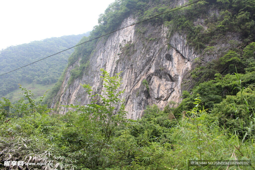 山间峭壁旁的葱郁植被