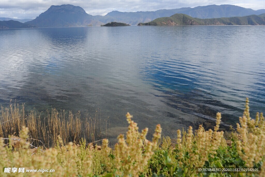 湖畔美景 水草与远山相映