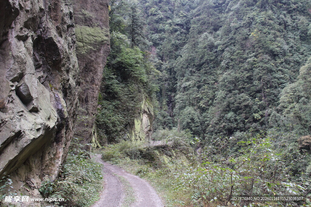 山间蜿蜒小路穿行于绿意中
