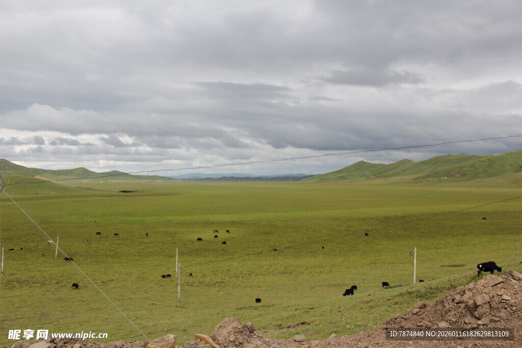 草原风光 广袤天地景色美