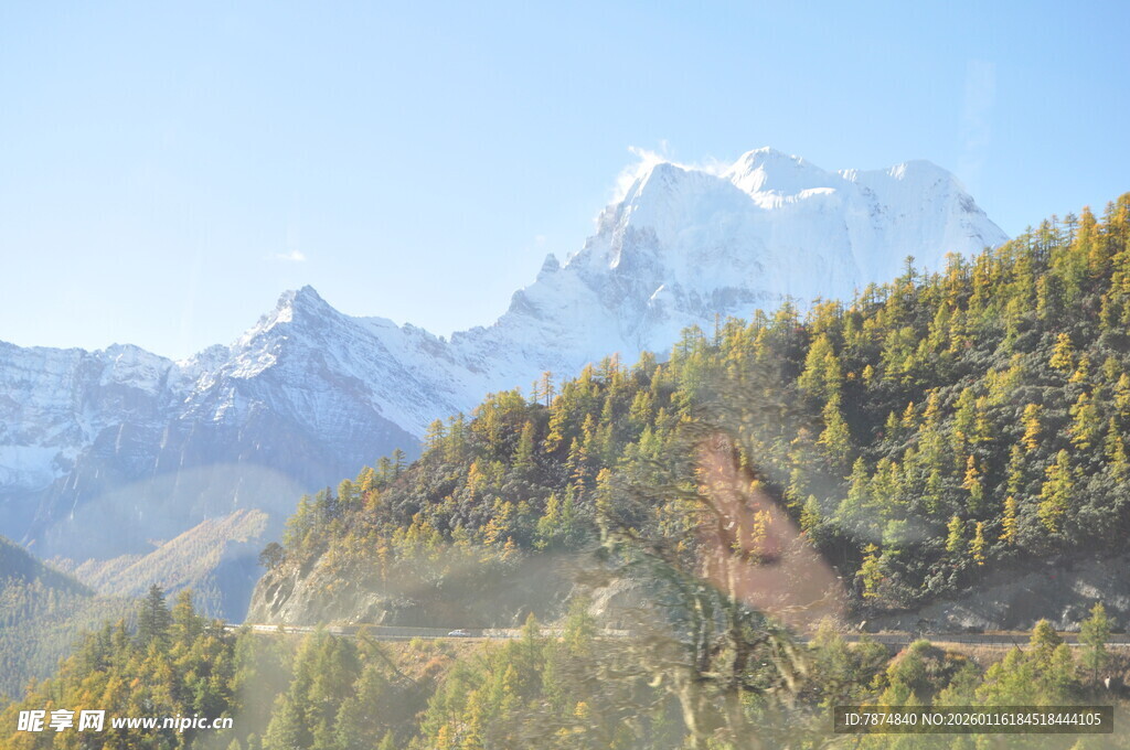雪山下的葱郁山林