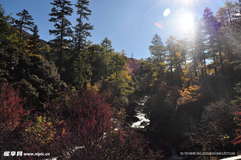 秋日山林阳光美景