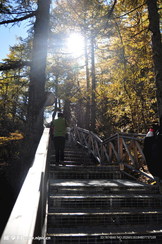 秋日登山步道上的阳光美景