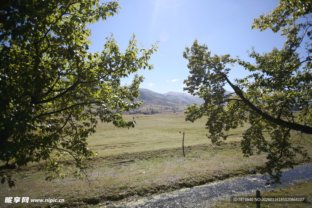 乡村田野间的宁静风光