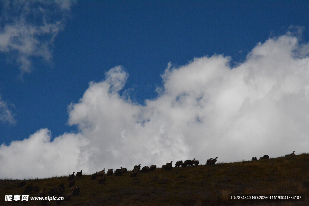 蓝天之上的蓬松白云