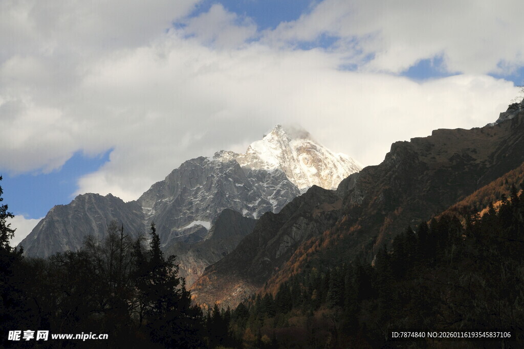 壮丽雪山与葱郁山林景观