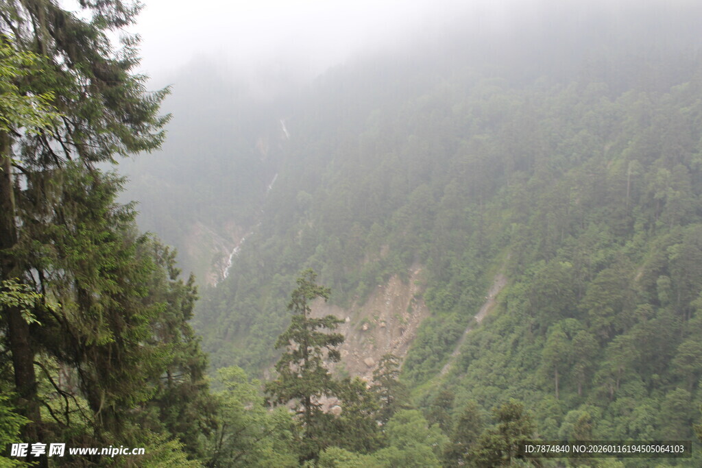 山间云雾缭绕的翠绿景致