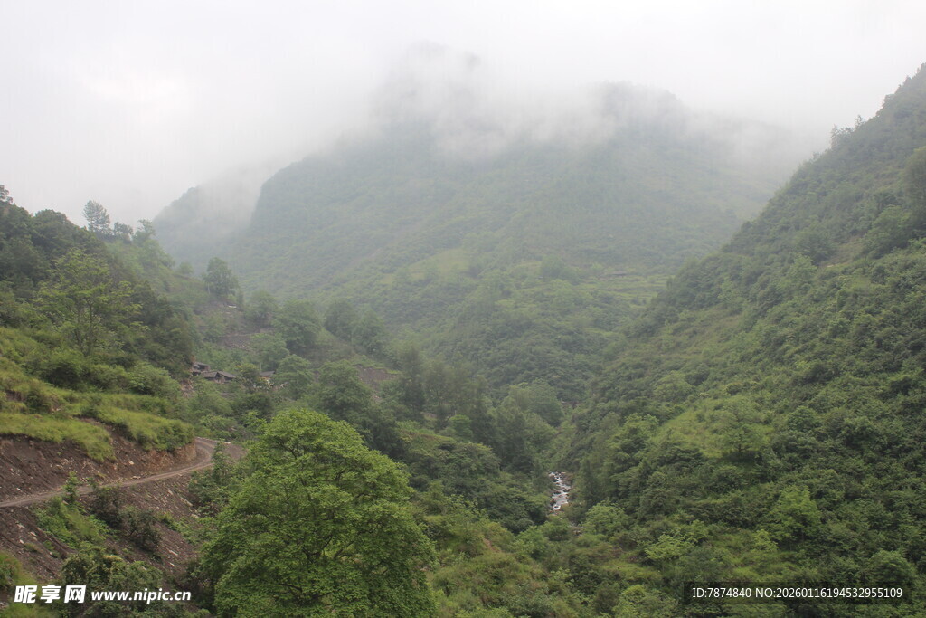 山间云雾缭绕的翠绿景致