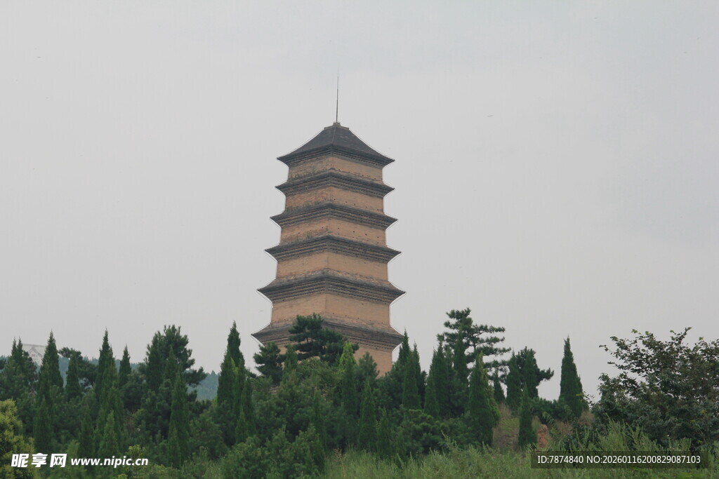 古朴宝塔屹立于绿树间