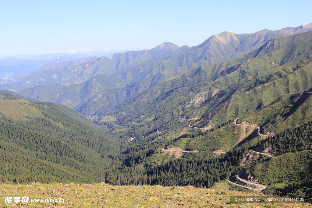 山间美景 绿意盎然的山谷