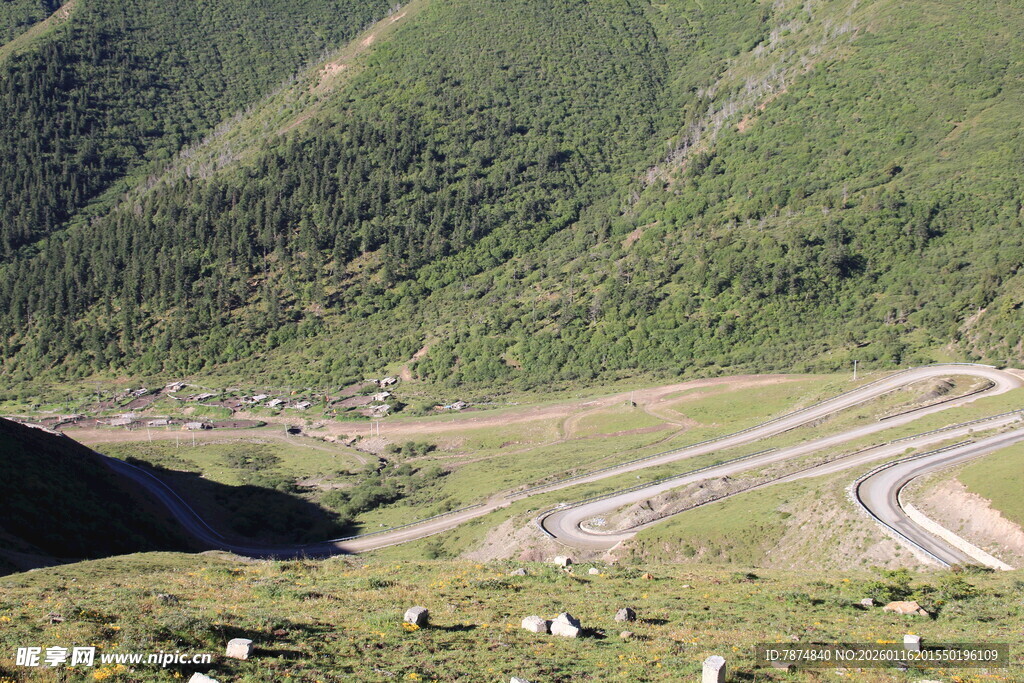 山间蜿蜒公路与放牧场景