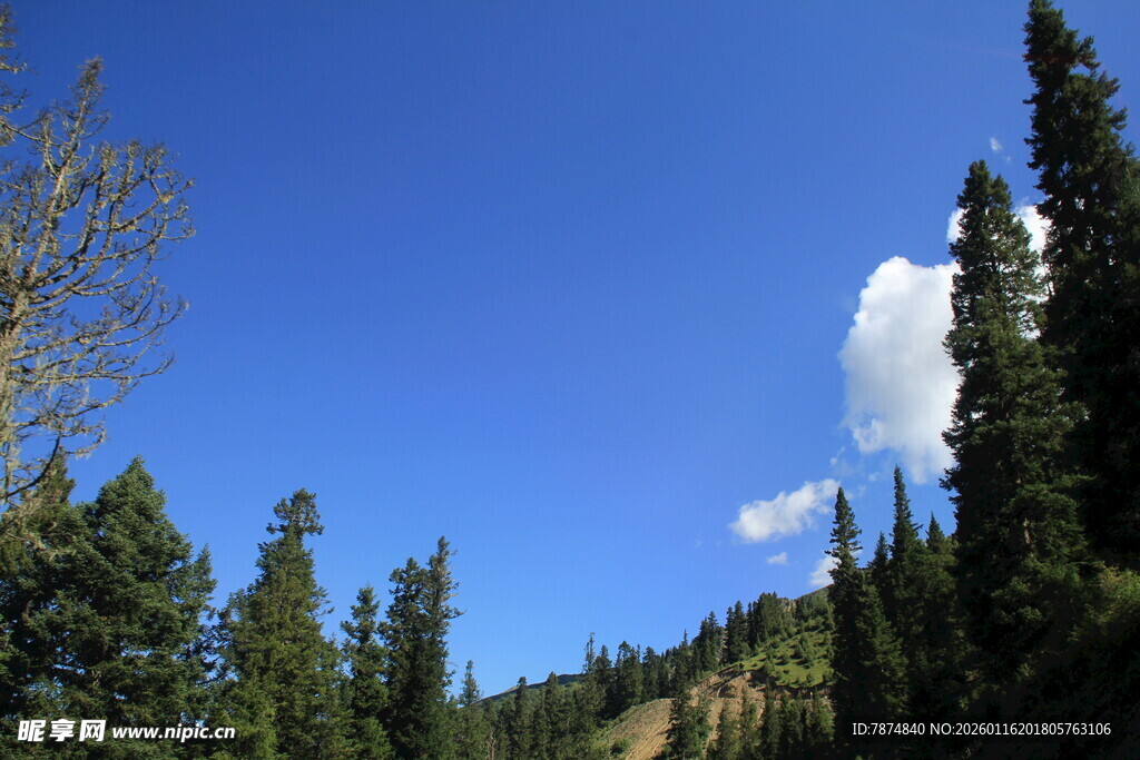 山林蓝天间的清新景致