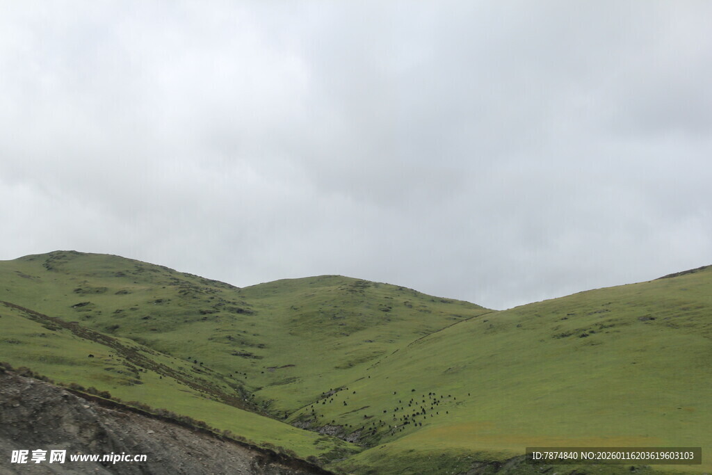 翠绿山峦 云雾缭绕之景