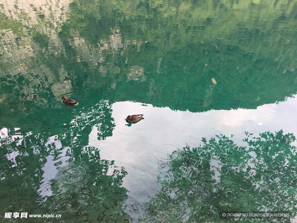 俯瞰翠绿湖中小船美景