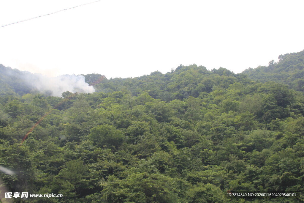 茂密山林绿意盎然