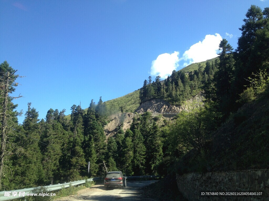 山间公路旁的茂密森林