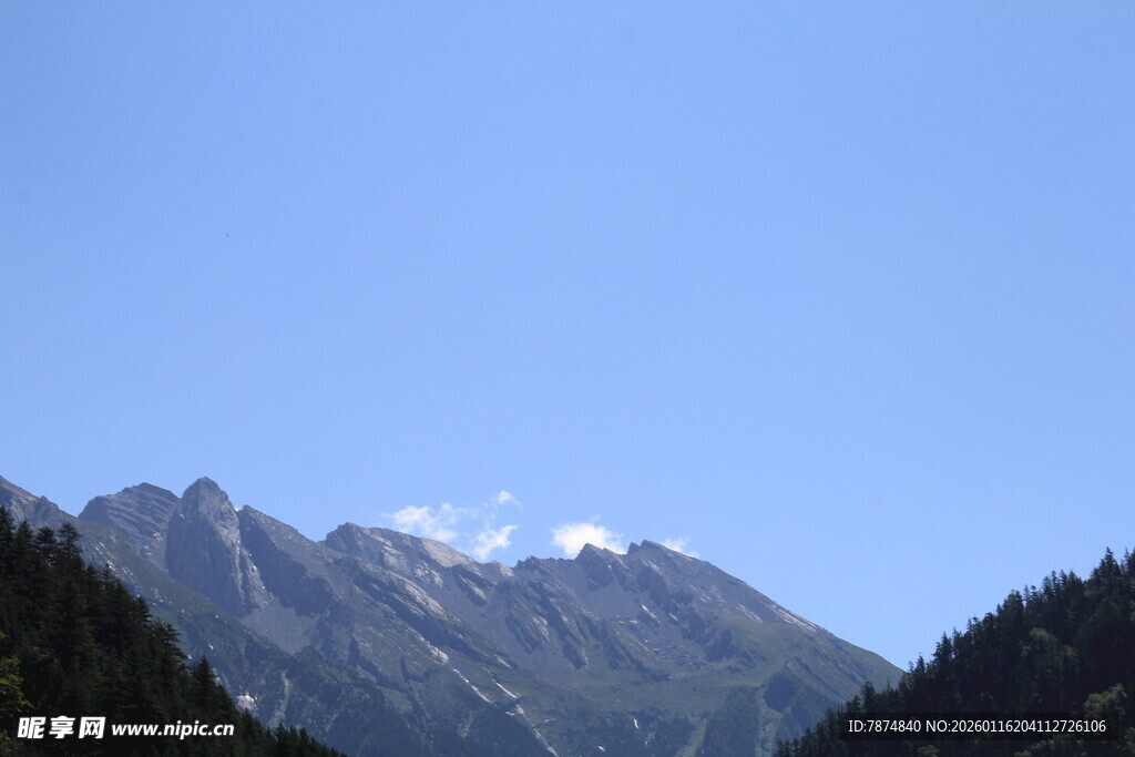 巍峨雪山与葱郁山林