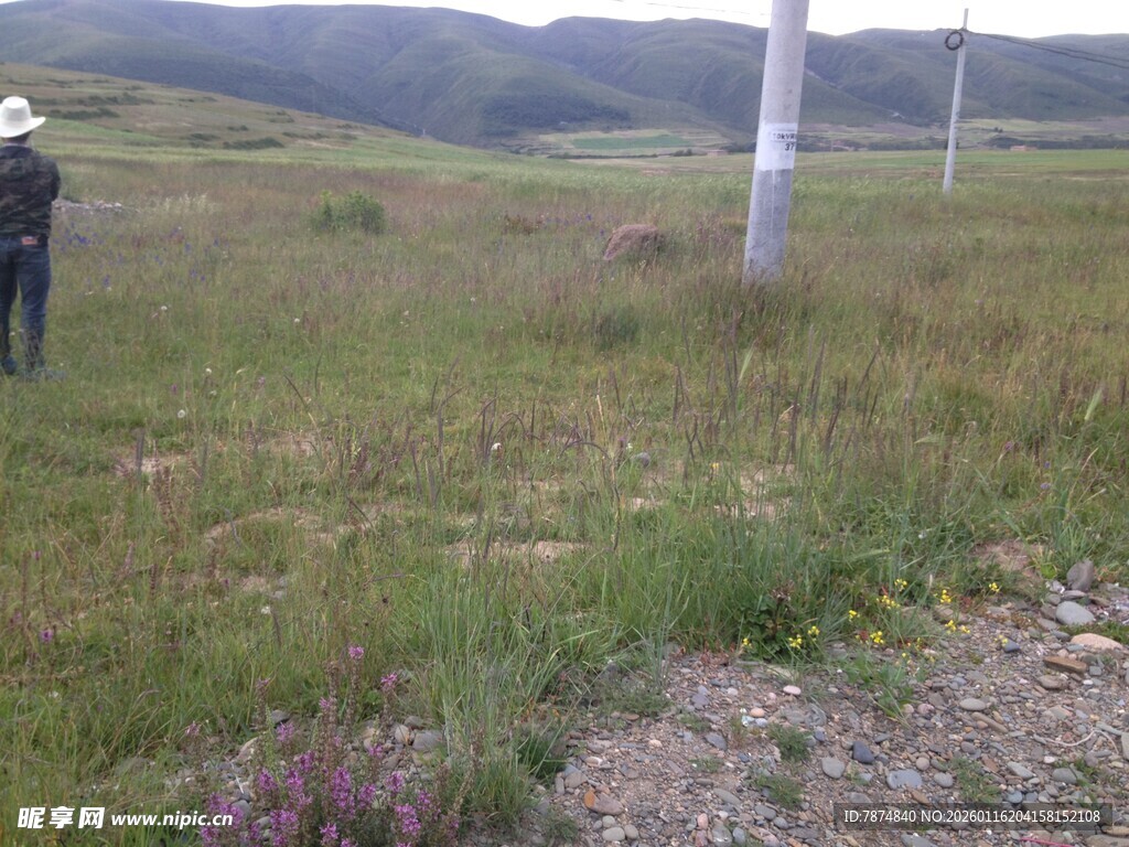 草原上的徒步者